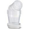BlesConi Vasetti e piattino in plastica trasparente per orchidee adatti alle radici, perfettamente progettati per un drenaggio efficiente, confezione da 6 (11 cm)