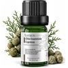 AMYRON Olio Essenziale di Cipresso AMYRON 5ml | Cupressus sempervirens | 100% Puro E Naturale Aromaterapia | Tonificante | Purificante Ideale Per Diffusore Oli Essenziali | Uso terapeutico Senzo OGM