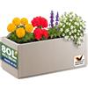 Casaria® Fioriera da Esterno Ethica in Plastica 80L 80x36x35cm Base Drenante Fioriere da Giardino Vaso Grade per Fiori Vasi per Piante Rettangolari