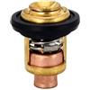 CloudburstVoltix Termostato 19300-881-761 50-52C Grado 125F Compatibile Con Motore