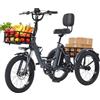 Generic Triciclo elettrico pieghevole a 3 ruote per adulti, 20 pollici, batteria rimovibile, doppi freni a disco, cestino anteriore e portapacchi posteriore, grigio premium.