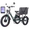 Generic Triciclo elettrico per adulti, bici elettrica a 3 ruote con pneumatici larghi e sedile passeggero, batteria rimovibile e display LCD, utilizzo urbano fuoristrada.