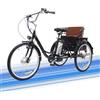 Generic Triciclo elettrico per adulti, robusto, da 24 pollici, batteria al litio da 36 V 12 Ah, carico massimo 150 kg, sedile posteriore.
