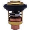 CloudburstVoltix Termostato e Guarnizione di Ricambio compatibili con Motore fuoribordo a 4(Thermostat)