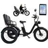 Generic Triciclo elettrico per adulti, pneumatici larghi da 24 pollici, doppi freni a disco, 7 velocità, ampio cestino multifunzionale, portata massima 200 kg, ideale per spostamenti quotidiani, colore nero.