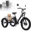 Generic Triciclo elettrico per adulti resistente, bici cargo a pedalata assistita con pneumatici larghi, capacità di carico di 200 kg, cestino per la spesa e per l'esercizio fisico