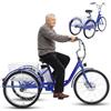 Generic Triciclo elettrico cargo per adulti con telaio a scavalco, ruote da 24, batteria rimovibile, display digitale, cestini, ideale per la spesa quotidiana, colore blu.