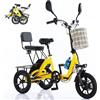 Generic Triciclo elettrico pieghevole per adulti, YAOJIA 350W 14 pollici Ebike con cestino, velocità massima 20 miglia orarie, autonomia di 40 miglia per shopping, picnic e sport all'aria aperta