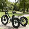 Generic Triciclo elettrico per adulti a 3 ruote, con pneumatici larghi e telaio a scavalco, 7 velocità, ideale per mountain bike e ciclismo all'aperto, con cestino.