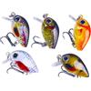 Sandyseptember Kit di attrezzi per esche da pesca con forbici, pinze ad ago, set di attrezzatura per pesca alla carpa per boilie, accessori per la pesca d'acqua dolce sul lago e fiume, scatola di plastica da 7,1 x