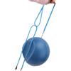 Generisch Palla Da Golf Allenamento Swing Per Allenamento Swing Preciso E Portatile | Attrezzatura Da Pratica Golf Per Polso Braccia Mano Gomito Impugnatura Posizione Principianti Esercitazioni Di