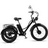 Generic Triciclo elettrico per adulti, bici elettrica a 3 ruote resistente con elevata capacità di carico e cestino portaoggetti, ideale per lo shopping, l'esercizio fisico e le corse confortevoli.