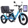 Generic Triciclo elettrico a 3 ruote per adulti con sedile passeggero, telaio in acciaio al carbonio resistente, display LCD e faro a LED, ideale per spostamenti in città e strade di montagna.