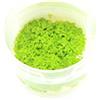 CO2 Art Tropica Riccia fluitans 1-2 CRESCE!