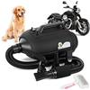 Mxmoonant Asciugacapelli per Cani 3500W, Doppio Motore | velocità e temperatura regolabili, con 4 ugelli e spazzola per animali
