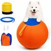 Generico Giant Herding Ball for Dogs, Interactive Herding Ball for Dogs and Pets, 2026 New Durable Inflatable Giant Dog Balls for Outdoor Exercise (Orange, 25 cm/10 in)