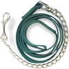 Pferdelinis Catena di guida per cavalli | guida sicura con catena di ferro e manico in nylon | Guinzaglio adatto per stalloni cani pony asini | Lunghezza 2,10 m (verde scuro)