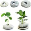 LIULINY 6 Pezzi Pesi per Piante D'acquario, Apertura 2,1 cm Ancorette a Forma di Ciottolo e Piantare Cotone, Pesi Naturali per Piante in Pietra di Fiume per Acquario per Acquario Piantes Decorazioni