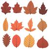 Shiwaki 120Pcs 12 Tipi di Etichette Regalo Colorate a Foglia d'Acero, Etichette di Carta appese a Foglia con preforate per Natale, Festa del Ringraziamento, Compleanno, Matrimonio, 30 m.