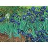 YSCOLOR Diamond Painting Ricamo Diamante Rotondo Pieno Van Gogh Iris Diamante 5D Mosaico Punto Croce Picutre di Strass Decorazioni per La Casa Regalo di Natale 30X40Cm