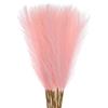 QUARKZMAN 30 Pezzi di Erba di Pampa Finta, 21/55cm Erba di Pampa Finta Soffice Decorativa Alta Erba di Pampa Artificiale per Soggiorno Festa Parete Vaso Decorazione Matrimonio, Rosa