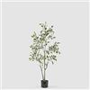 EDG Enzo De Gasperi Pianta Artificiale Ficus Vogue con Vaso H120 cm Verde Chiaro - Pianta Decorativa Realistica Design Moderno