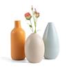 PinnWaa Vaso in Ceramica Decorativo per Pampas Decorative, Design Moderno per Decorazioni Casa, Set Di 3 Vaso da Interno Artigianale con Stile Minimalista per Salotto/Camera/Ufficio - Multicolore
