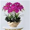 Generic Fiore artificiale in vaso Orchidea artificiale con vaso Grande finta fioritura Phalaenopsis Piante finte bianche