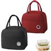 Dhisperares 2 Pezzi Borsa Termica Pranzo, 6L Borse Termiche Porta Pranzo Impermeabile | Borsa Frigo Piccola Interno in Alluminio, Pieghevole e Portatile Borsetta Frigo Piccola Termica per Picnic, Ufficio, Viaggi