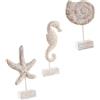 Uonlytech Cavalluccio Marino e Conchiglia Set 3 Pezzi Soprammobili al Mare Decorazioni Tavolo a Forma di Stella Marina per Arredamento Casa Unico
