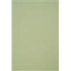 Netuno 50x cartoncino ecologico verde chiaro formato A4 210x 297 mm 250g Crush Kiwi carta riciclata colorata creativa naturale per Packaging di lusso Inviti matrimonio partezipazioni Etichette