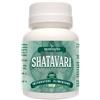 NAWAYTO D.O.O. SHATAVARI 60TAV 24G