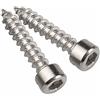 Dieffematic VITE TCEI AUTOFILETTANTE 5,5X16 INOX 100 PZ VT069
