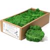 Ancient Wisdom 1x Muschio Decorativo - Verde - (circa) 500 g)