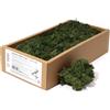 Ancient Wisdom 1x Muschio decorativo - Verde scuro - (ca. 500 g)