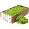 Ancient Wisdom 1x Muschio Decorativo - Verde Chiaro - (circa) 500 g)