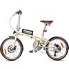 NONE Bicicletta Elettrica MAXTRON Smart20, Pneumatici 20x1.35 Pollici, Motore 250W, Batteria 36V 5.2AH, 7 Velocità, Pieghevole, Bici da Pendolare, Autonomia 30-40km, Carico Massimo 100kg