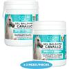Cosmi Premium COSMI MADE IN ITALY CONFEZIONE DA 2 BALSAMO RINFRESCANTE PER CAVALLI IN GEL 100ML, CREMA MASSAGGIO EFFETTO FREDDO PER ALLEVIARE DOLORE MUSCOLARE E ARTICOLOFICO, LENITORE PER DOLORES MINORI DEL CORPO,