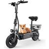NONE Monopattino Elettrico Pieghevole IScooter F2 per Adulti con Sedile - Motore da 500W - 30 Km/h - Batteria da 36V 7.8Ah - Pneumatici Gonfiabili da 10 Pollici