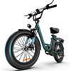 URLIFE E20 E-Bike, Batteria 48V 13Ah, 25KM/H, Autonomia 80KM, Pneumatici Fat 20X3'', Bici Elettrica per Adulti per Pendolarismo Urbano e Tutti i Terreni