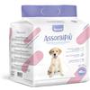 Record Assorbipiù traverse cani usa e getta per cani unisex. Extra assorbenza. Tappetini igienici per cani 40x60cm. Confezione 40 pz. Monouso, Antistrappo e Antiodore. Per Cani taglia medio piccola