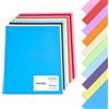 TownStix 50 fogli (14,5 kg/120 g/m²) - Cartoncino colorato per stampante, cartoncino colorato per artigianato, 10 colori assortiti, 21,6 x 28 cm