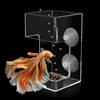 Dbeans Flourithing Distributore Automatico Cibo Pesci,Quadrato Trasparente,Mangiatoia Automatica Acquario,Impedire Che Il Pesce Fluttui,Accessori Acquario