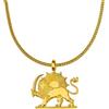 d'origine Collana iraniana con stemma iraniano, collana con leone iraniano, gioiello iraniano, con stemma iraniano da uomo