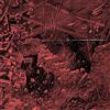 Relapse Records Systems Overload (Reissue)