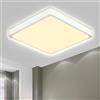 LQWELL® LED Plafoniera, 1.6CM Ultra-Sottile Quadrato Piatto IP44 Lampada da Bagno Impermeabile 18W 3000K 1700LM Moderna per Soggiorno Camera da Letto Cucina Balcone Seminterrato Ufficio, 220 * 16mm