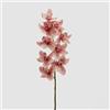 EDG Enzo De Gasperi Orchidea Cymbidium H 90 Cm Rosa