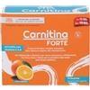 Paladin Pharma Sanavita Carnitina Forte14bust