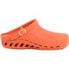 Dr.scholl's Div.footwear Clog Evo Tpr Uni Orange 37/38