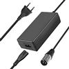 ARyee Caricabatterie da 29,4 V 2 A per scooter GT200 GT300 GT350 GT500 Schwinn F-18 S300 S350 S500 Mongoose M150 I250, Power Adapter per e-bike Scooter e sedia a rotelle XLR spina